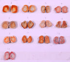 Geode Pairs (Earring) by Selection 20-25 mm Orange Color Geodes