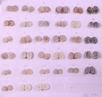 Geode Pairs (Earring) by Selection 10-20 mm Natural Color Geodes