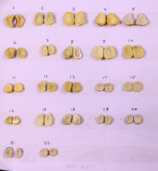 Geode Pairs ( Earring ) by Selection  10-20 mm Yellow Color