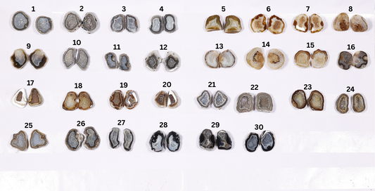 Design Geode Pairs (Earing) by Selection 10-20mm Black Beige