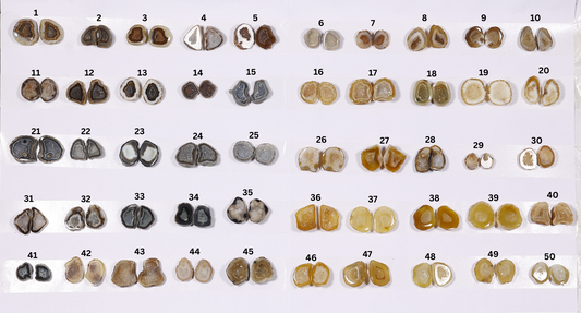 Design Geode Pairs (Earing) by Selection 10-20mm Black Beige