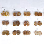 Geode Pairs by Selection 15 - 20 MM Biege