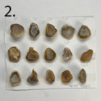 Geode Pendant stone by Selection 20 - 25MM Beige