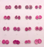 Pink Geode Pair Earrings | Natural 10-15 mm Stones | Unique Handpicked Matching Geodes for