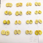 Yellow Geode Pair Earrings | Natural 15-20 mm Stones | Unique Handpicked Matching Geodes Perfect for Earring