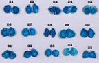 Geode Pairs (Earing) by Selection 15-25mm Aqua