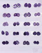 Geode Pairs (Earring) by Selection 15-20mm Purple Color