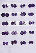 Geode Pairs (Earring) by Selection 15-20mm Purple Color