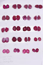 Geode Pairs (Earring) by Selection  15-20 mm  Pink Color
