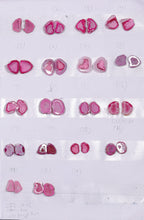 Geode Pairs (Earring) by Selection 10-15 mm  Pink Color