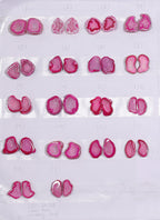 Geode Pairs (Earring) by Selection 20-25 mm  Pink Color