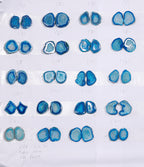 Geode Pairs (Earring) by Selection 25-30 mm  Aqua Color