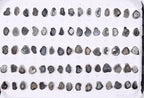 Geode Stones (Pendant) by Selection 20-25 mm Brown For Making Pendants Jewelry