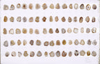 Geode Stones (Pendant) by Selection 20-25 mm Beige For Making Pendant Jewelry