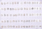 Geode Stones (Pendant) by Selection 15- 20 mm White For Making Pendant Jewelry
