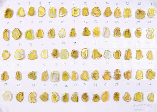 Geode Stones ( Pendant ) by Selection 20 - 25 mm Yellow For Making Jewelry