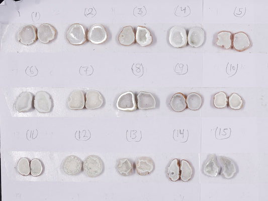 Geode Pairs ( Earring ) by Selection  20-25 mm White Color
