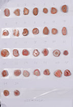 Geode stone by Selection  10-20 mm Light Orange Color geodes