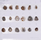 Geode Rings stone by Selection  10-20 mm Light Brown Color For Rings