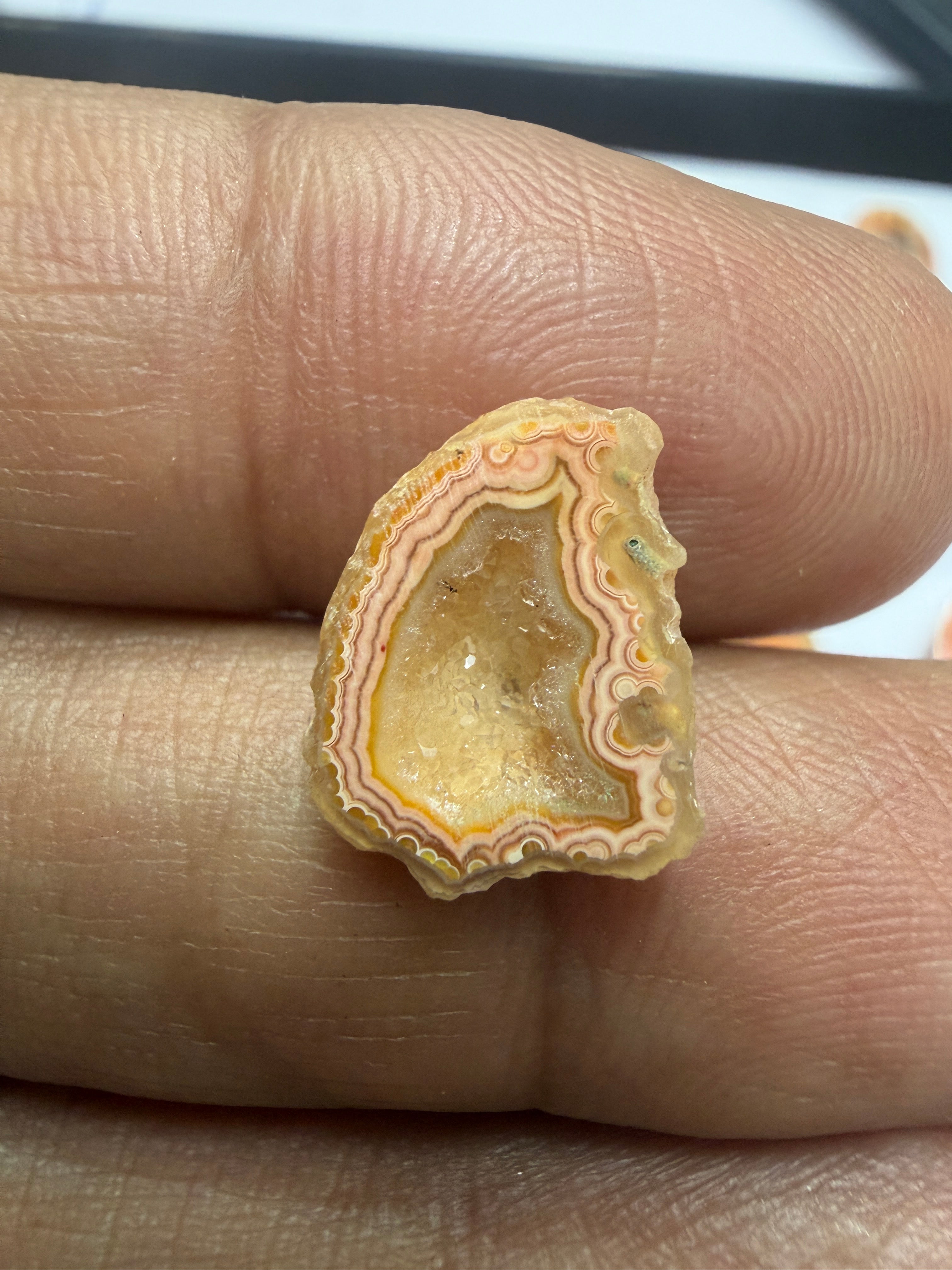 Orange Agate Druzy Geode Slices – Perfect for Ring Making