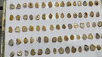 Geode Stones (Pendant) by Selection 20-25 mm Beige For Making Pendant Jewelry