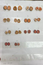 Geode Pairs (Earring) by Selection 10-20 mm Orange Color Geodes