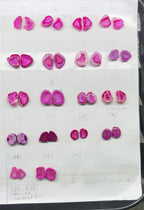 Geode Pairs (Earring) by Selection 10-15 mm  Pink Color