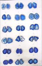 Blue Geode Pair Earrings | Natural 20-25 mm Stones | Unique Handpicked Matching Geodes for Earring