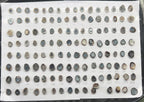Geode Rings stone by Selection  10-20 mm Brown Color For Rings