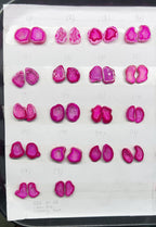 Geode Pairs (Earring) by Selection 20-25 mm  Pink Color
