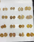Geode Pairs (Earring) by Selection 15-20 mm Beige Color Geodes