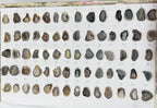 Geode Stones (Pendant) by Selection 25-30 mm Brown For Making Pendant Jewelry